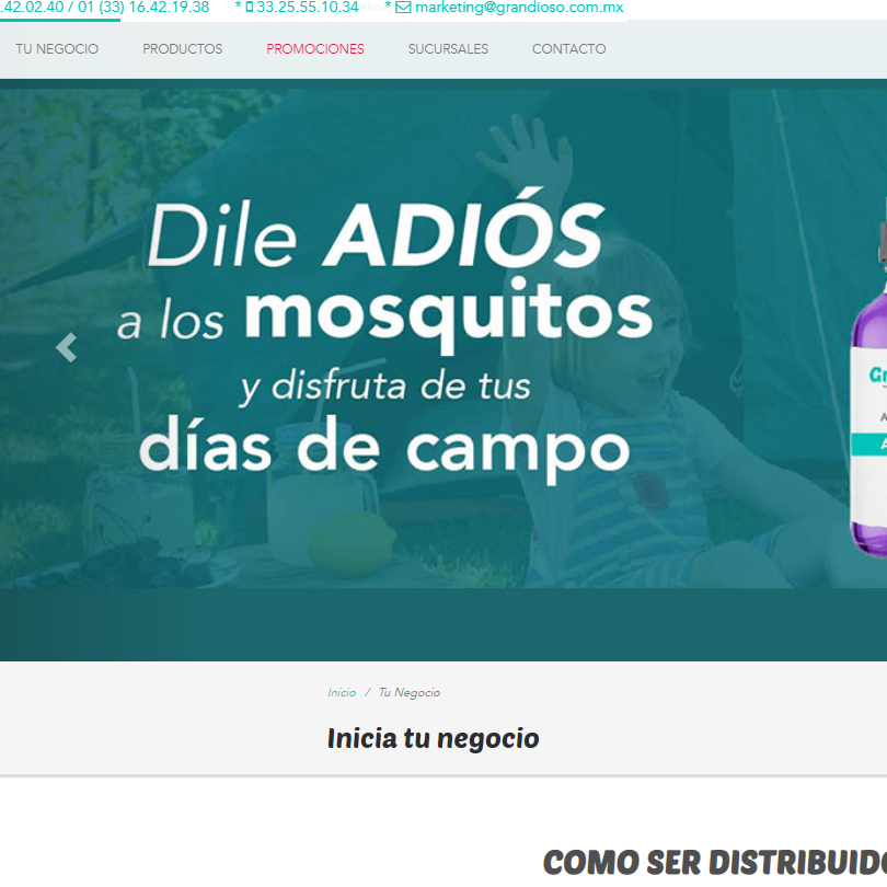 diseño web